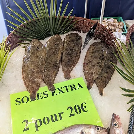 Treehouse - Funky - Terrasse Sur Le Toit - Mezzanine - Full