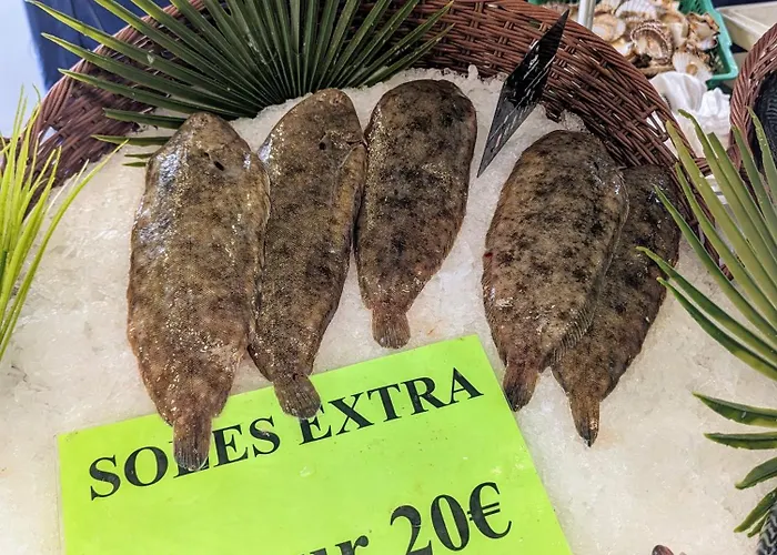 Treehouse - Funky - Terrasse Sur Le Toit - Mezzanine - Full